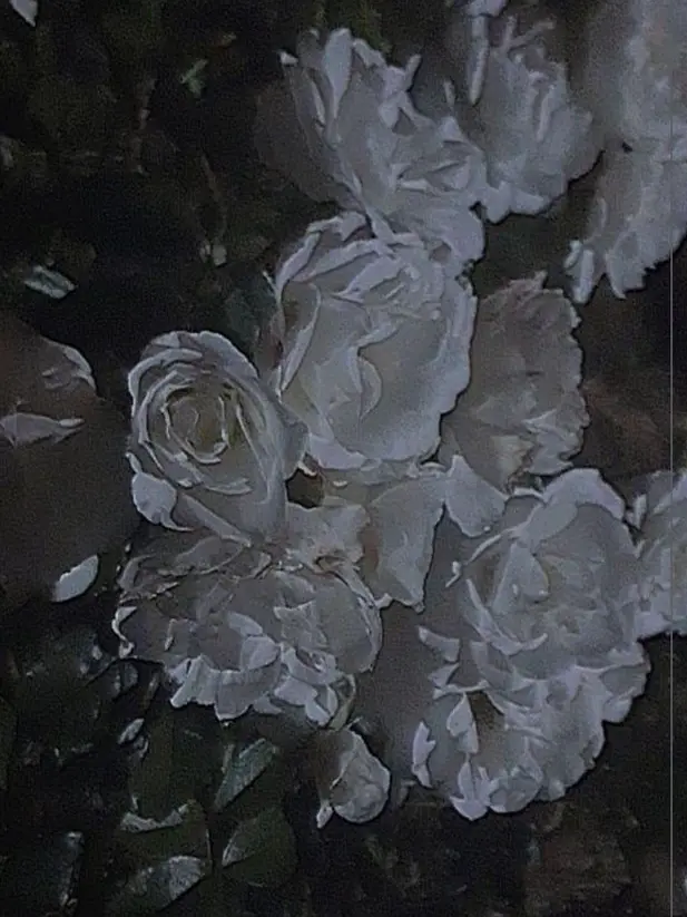 yumeno_nak_a의 シスターに懺悔を ―― 。