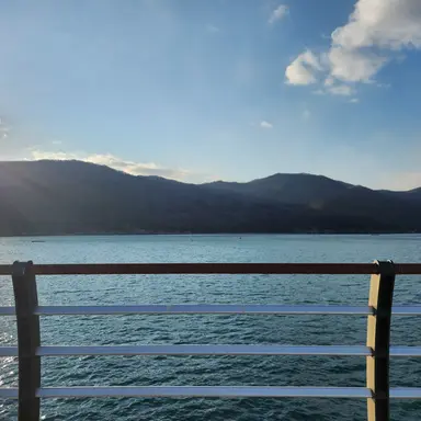 Profile image of 미스터리수사반