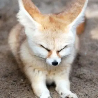 Profile image of 양정인