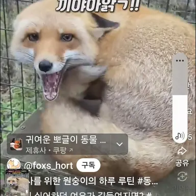 Profile image of 여우