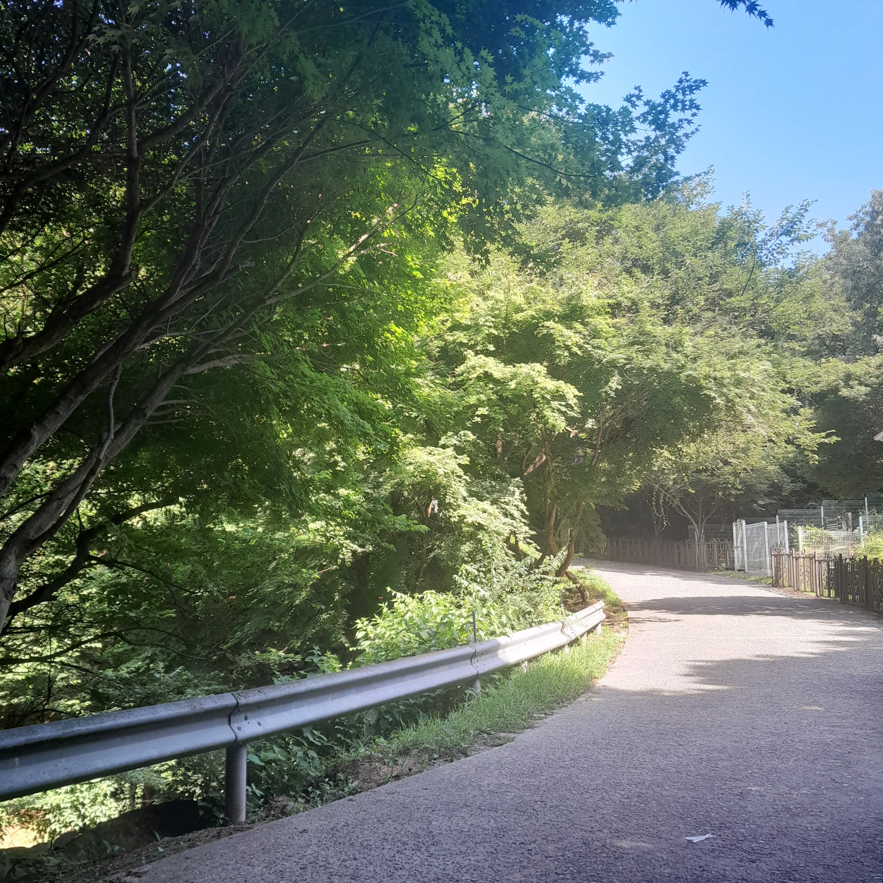 DullTakin6492의 공룡