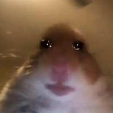 Profile image of Yeou