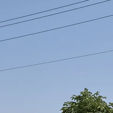 Profile image of 김사랑