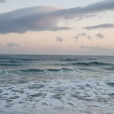 Profile image of 평학