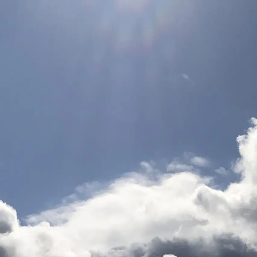 FakeClip8249의 ね、開けて？