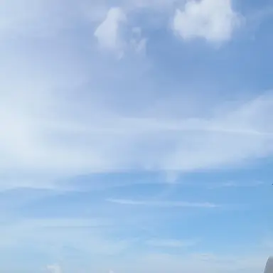 Profile image of 김준엽 경장