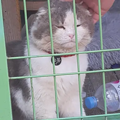 Profile image of 오준현 경위