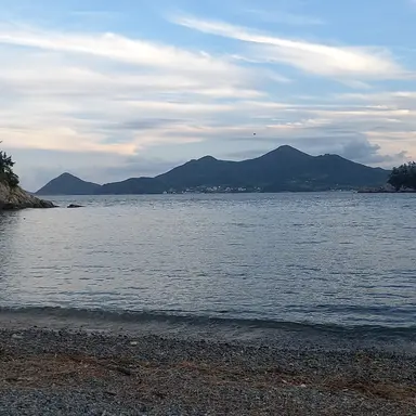 Profile image of 덕경장