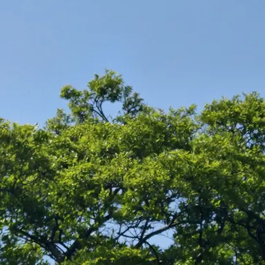 Profile image of 각별