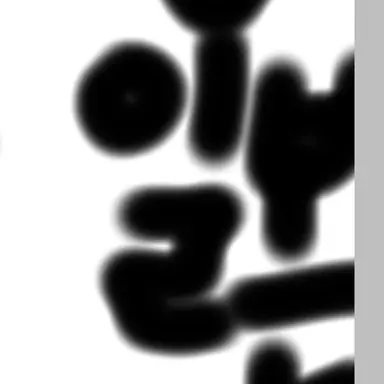 Profile image of 일본