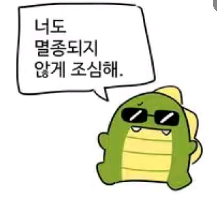 정공룡 대표 이미지