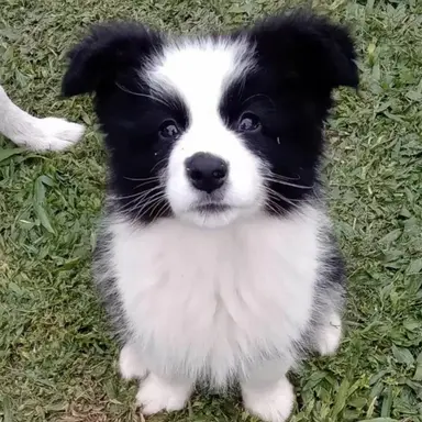 Profile image of 루카
