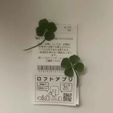 Profile image of 뜰팁조직