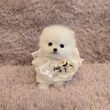 Profile image of 건우