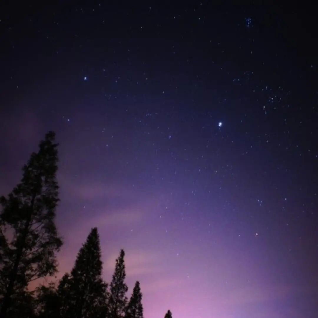 FlakyDuck4736의 내가 싸이코드에 잃어버린 동생?!