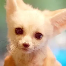 Profile image of 이지노 하루카