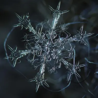 Profile image of Itrapped