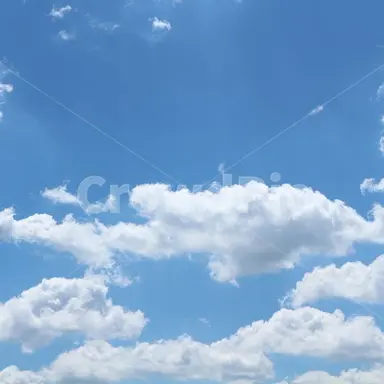 Profile image of 채영