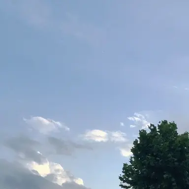 Profile image of 나경