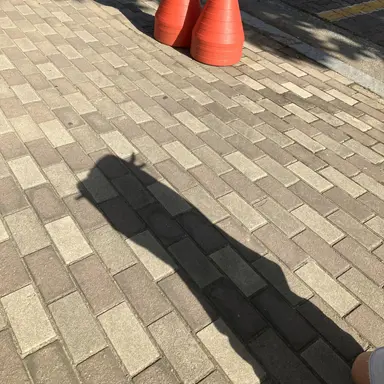 Profile image of 고고 프렌즈