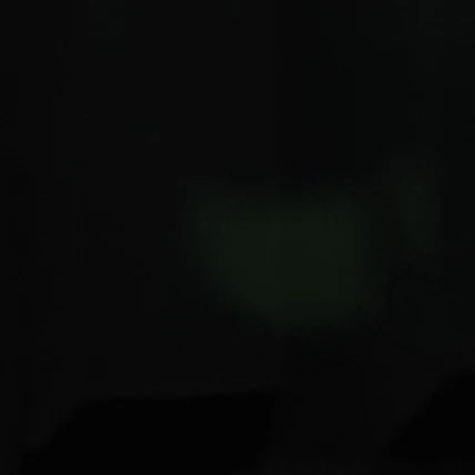 윤정한