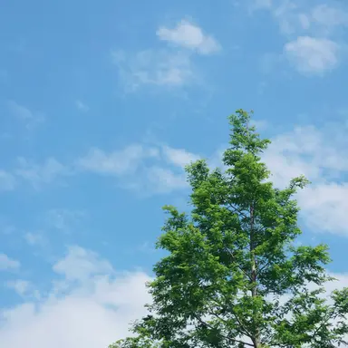 Profile image of 폼니