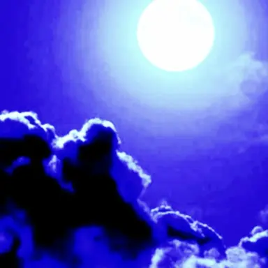 Profile image of 필립