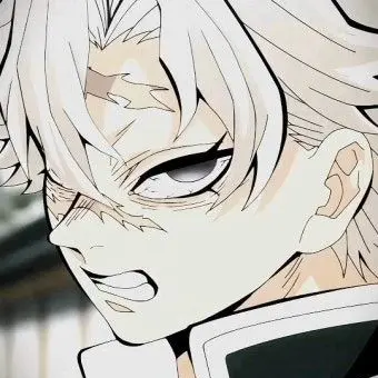 Profile image of 시나즈가와 사네미