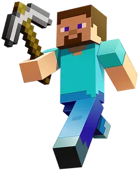 Profile image of Steve