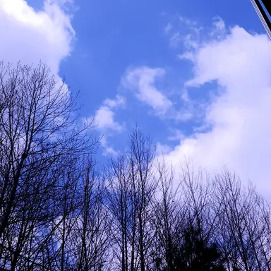 Profile image of 나레이션