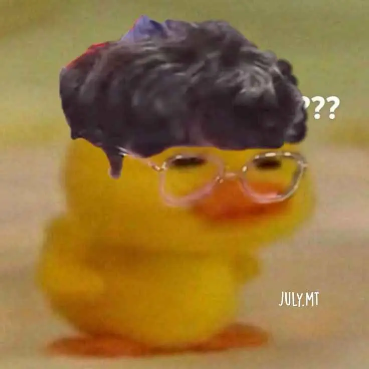 FinalDice1317의 최지호(furry)