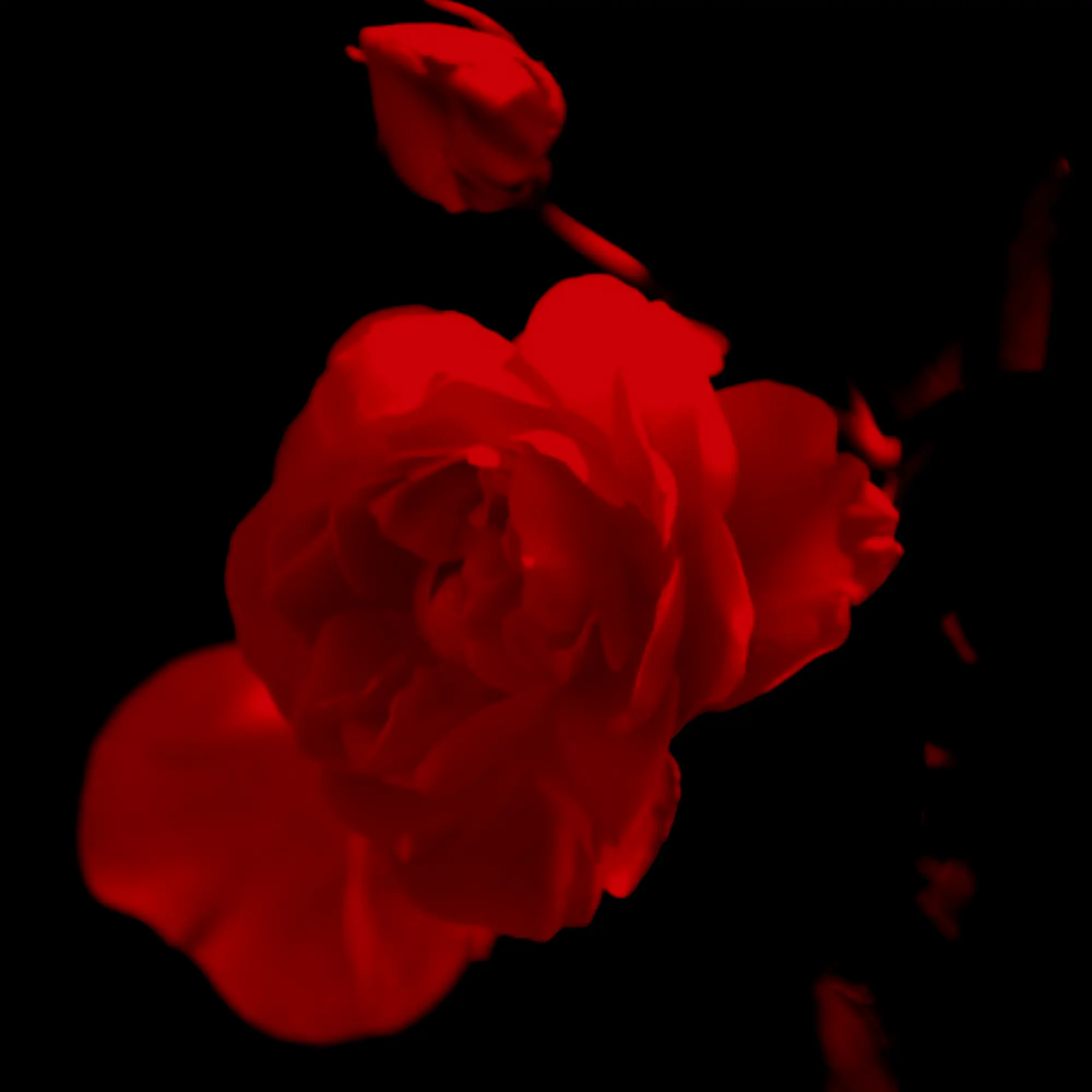 SassyLens9862의 ♤