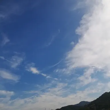 Profile image of WEST.