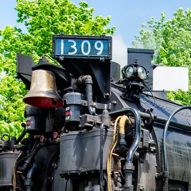 Profile image of Beast Of East 1309