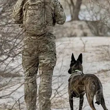 CyanCoat9987의 TF141- HYBRID USER