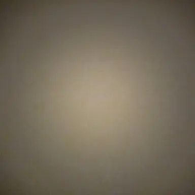 Profile image of 박수연