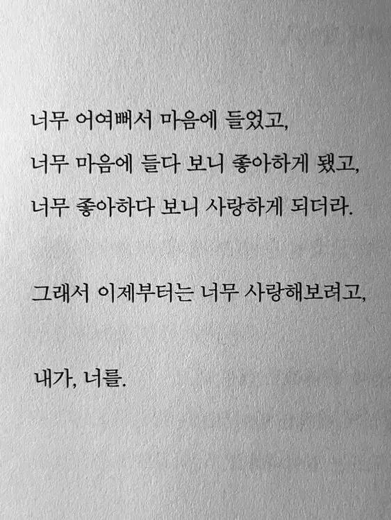 hoguma_potato의 선생님-!🐰
