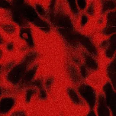 Profile image of 희사