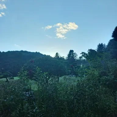 Profile image of 팀 고 대  여우편