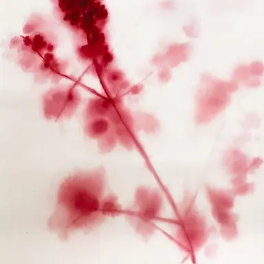 Profile image of 서람