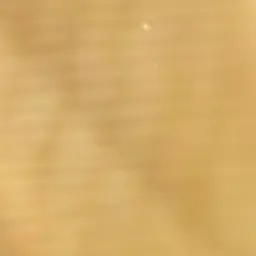 Profile image of シェドレツキー