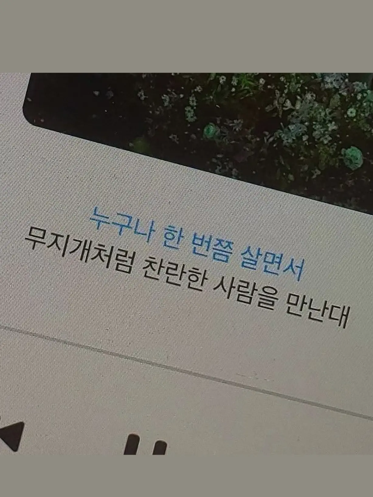 lily_paradise의 komp