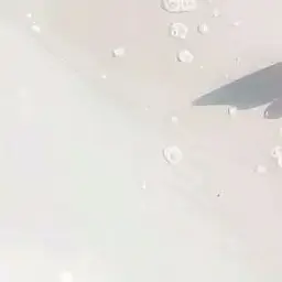 jdhdhhhajhhai의 연애혁명