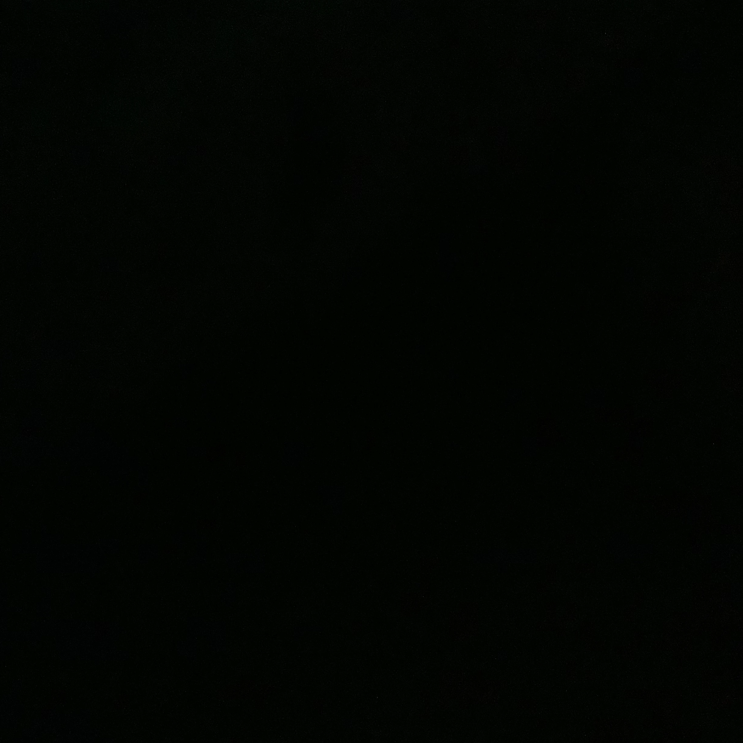 윤정핝