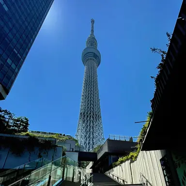 Profile image of 小南先生