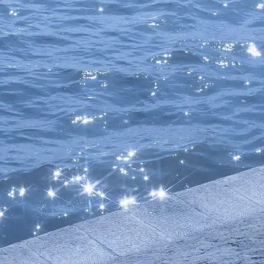 Profile image of 에르노