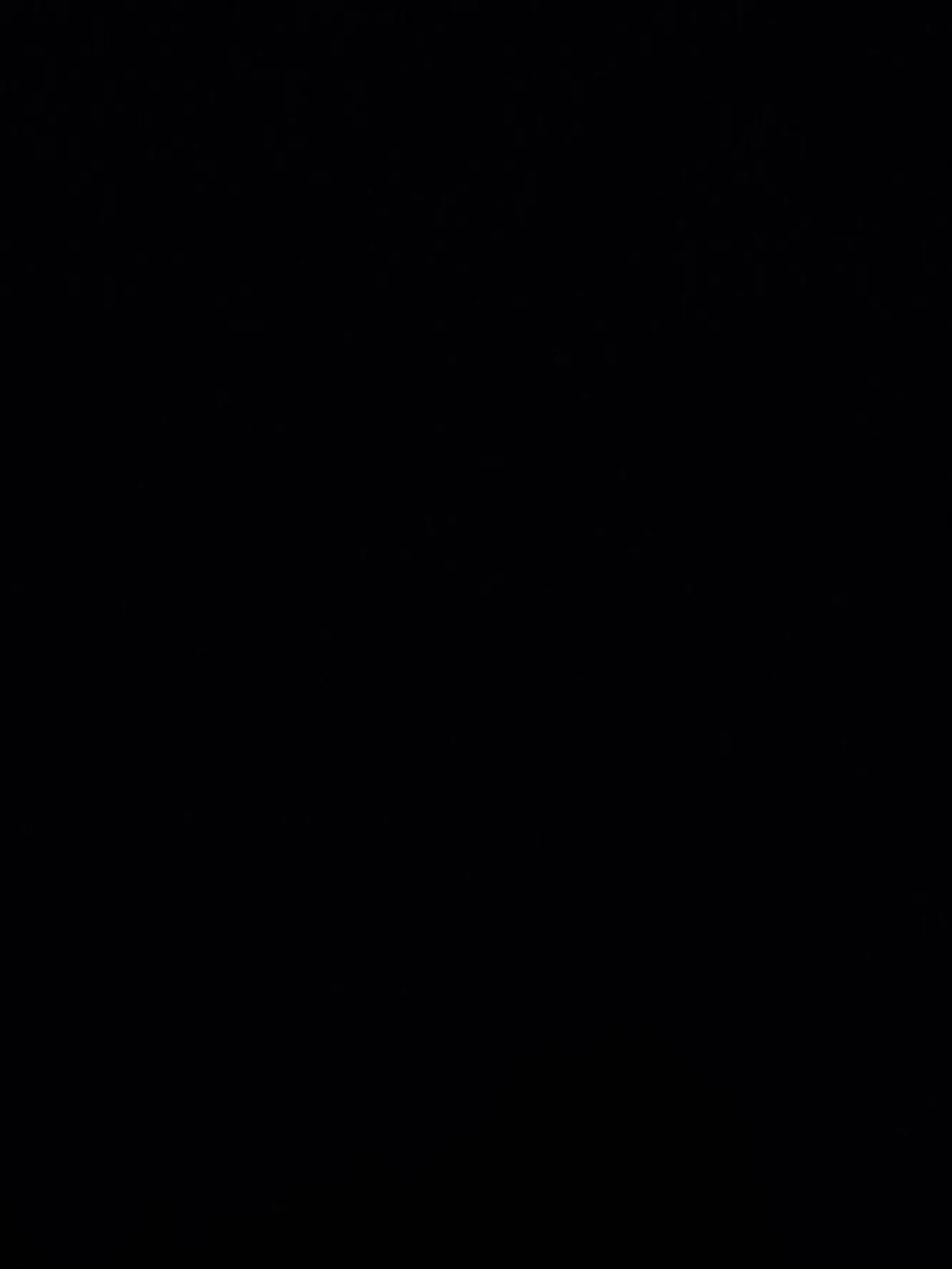 BrashTail0260의 미친것들아 작작 건들여