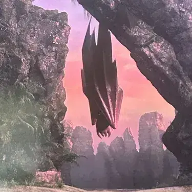 Profile image of How To Train Your Dragon