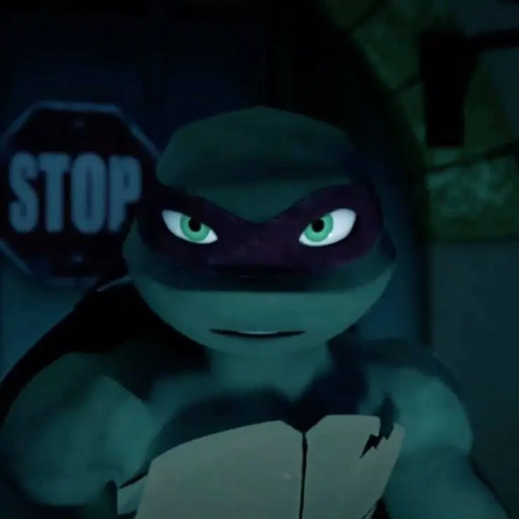 SturdyCake0874의 Ninja Turtles