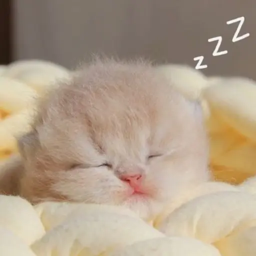 OrnateShot2463의 졸린 고양이